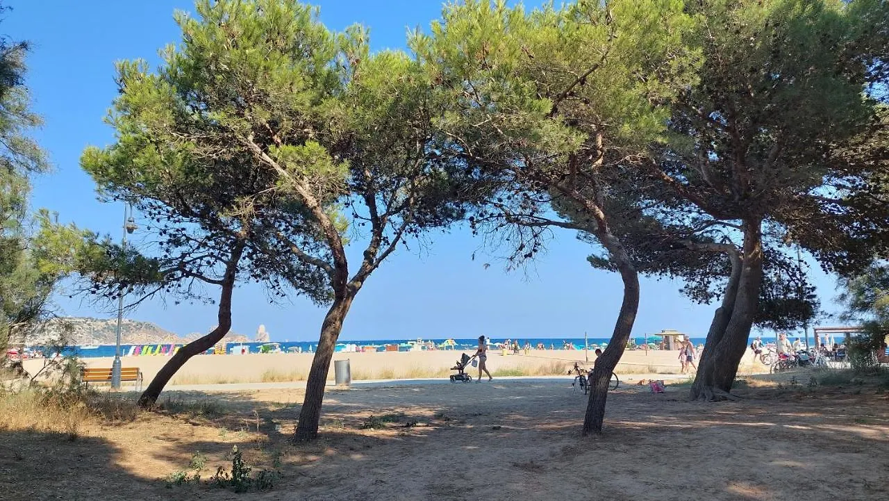 Primera Linea Con Vistas Al Mar Y Piscina L'Estartit